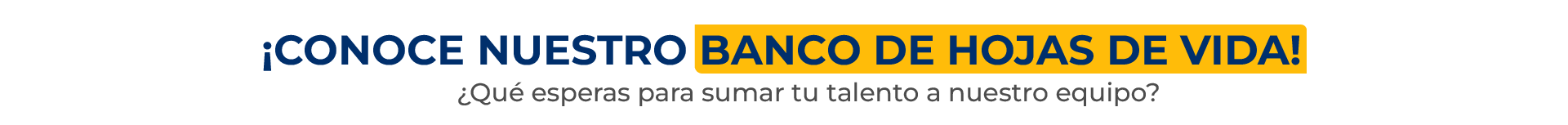 Banco de hojas de vida 